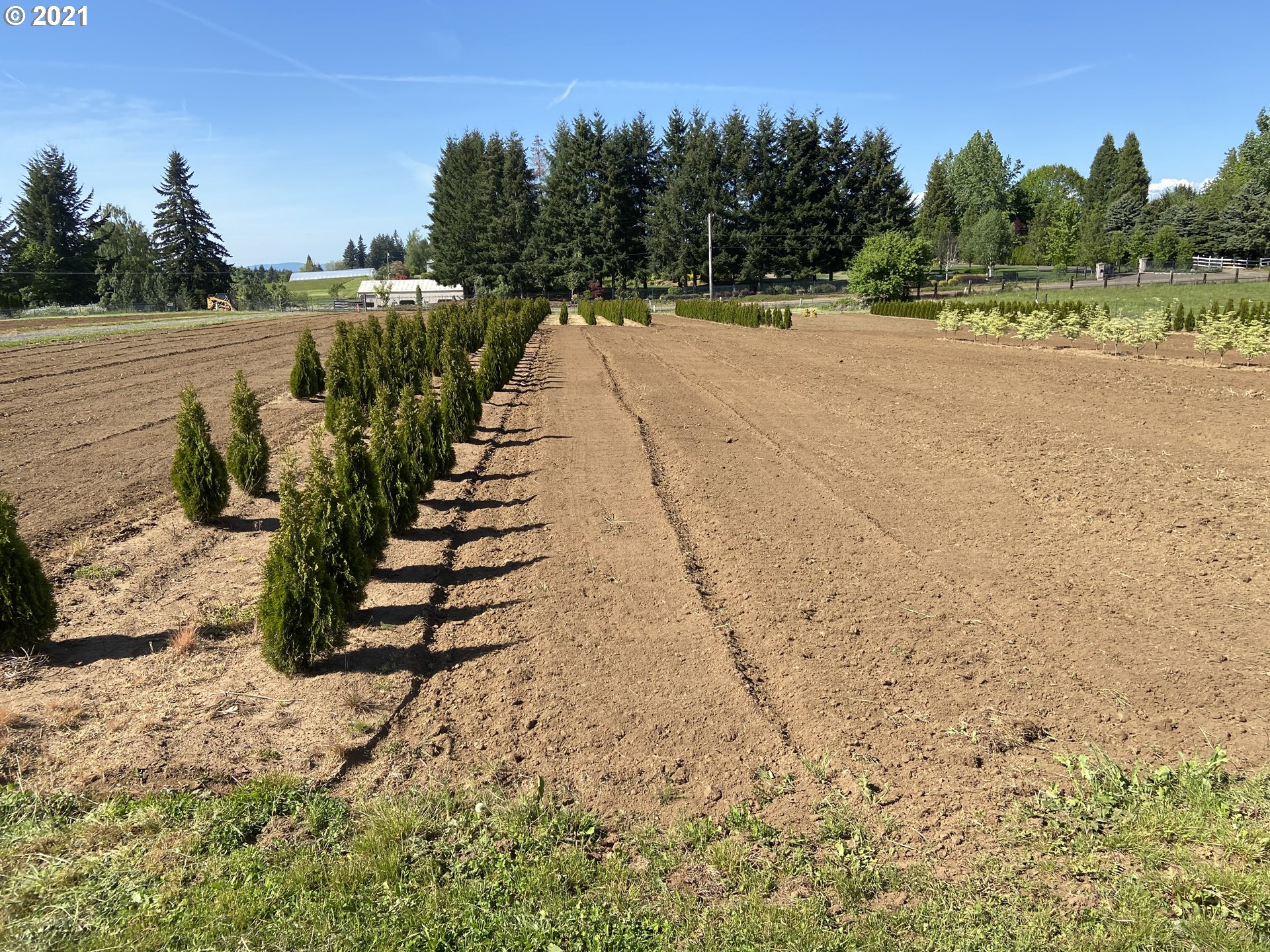 37400 Southeast Hauglum Road Sandy, OR 97055 - Photo 9 of 13 a view of a yard with plants and trees