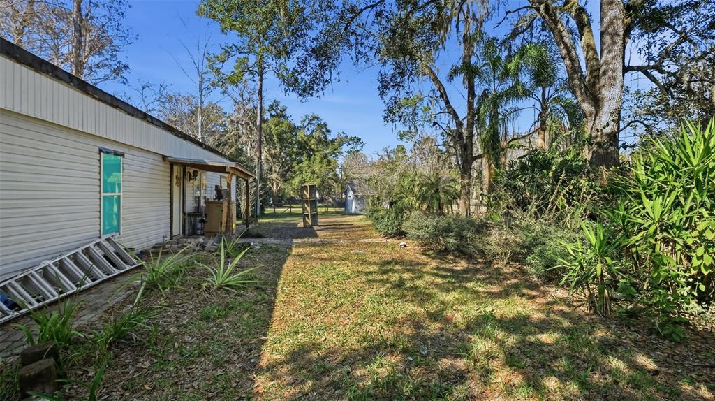 10565 Bessemer Street New Port Richey, FL 34654 - Photo 52 of 72 a view of yard with green space