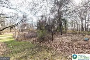a view of a house with a large tree and a yard