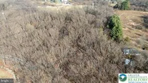 a view of a tree with a tree