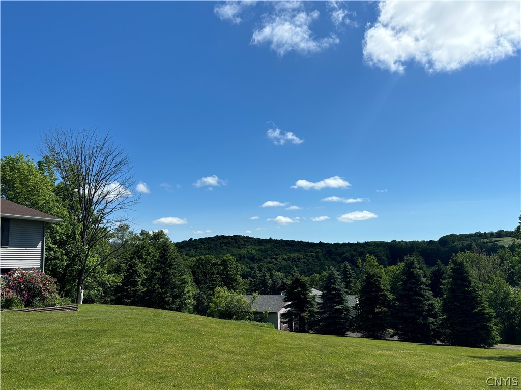 1813 O'Shea Road Homer, NY 13077 - Photo 34 of 34