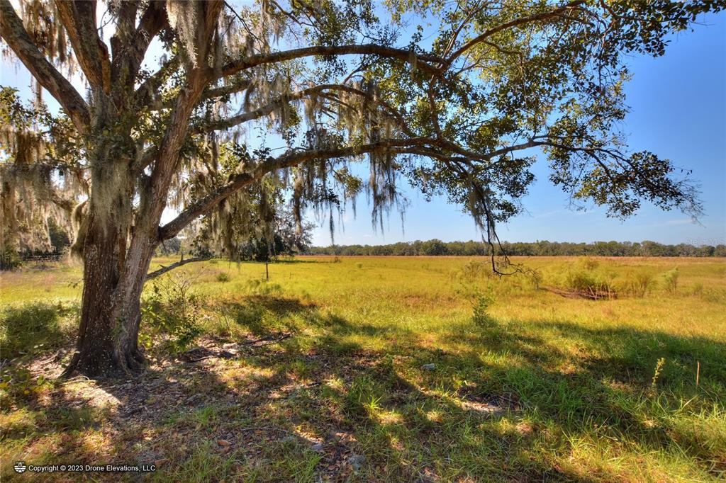 674 State Road Lithia, FL 33547 - Photo 1 of 1 Gallery Image 1