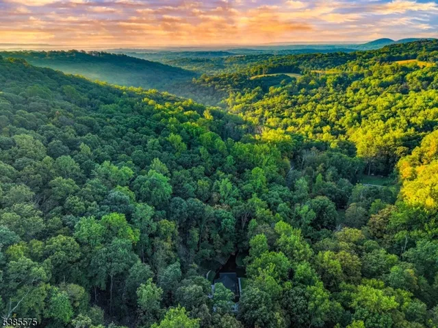 a view of a city with lush green forest