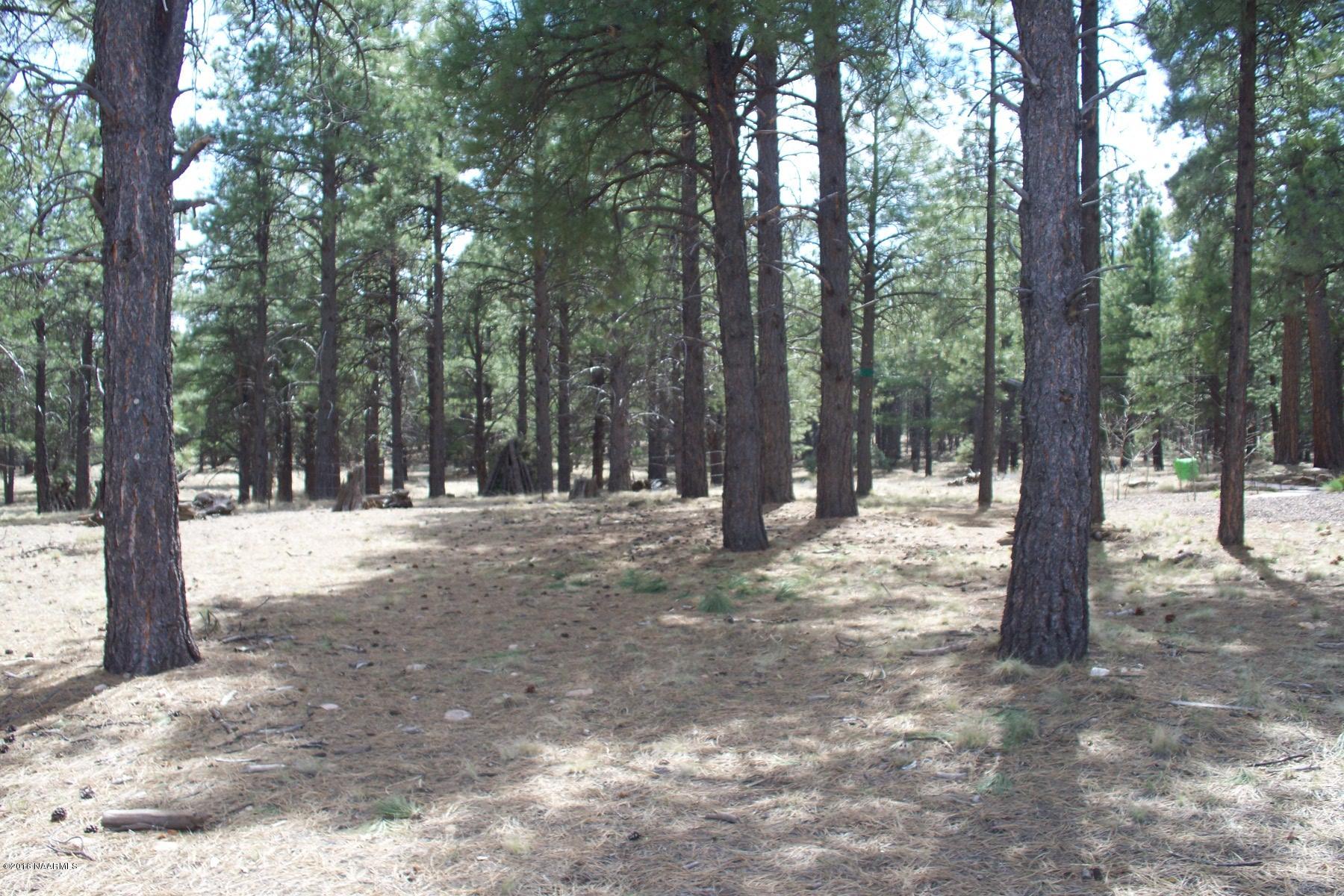 35 East Quartz Road Flagstaff, AZ 86005 - Photo 1 of 7 35 quartz 006