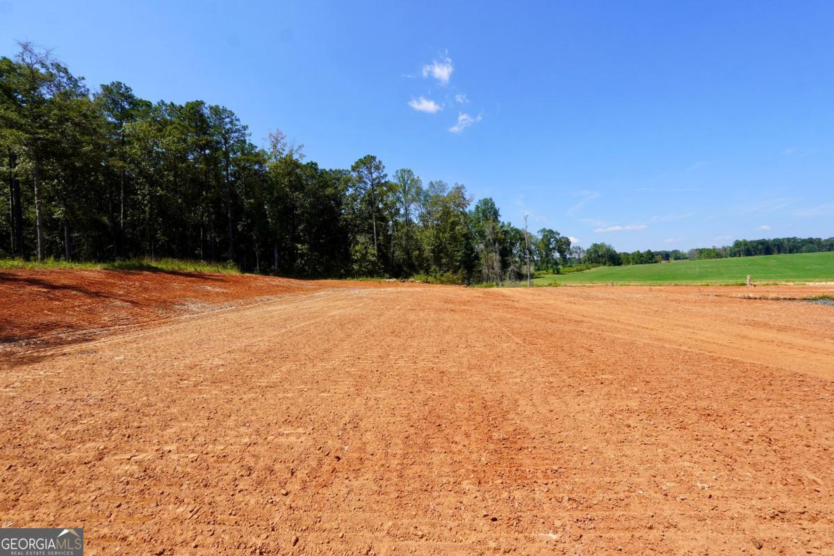 0 Walters Road, Unit TRACT 5 Barnesville, GA 30204 - Photo 4 of 6