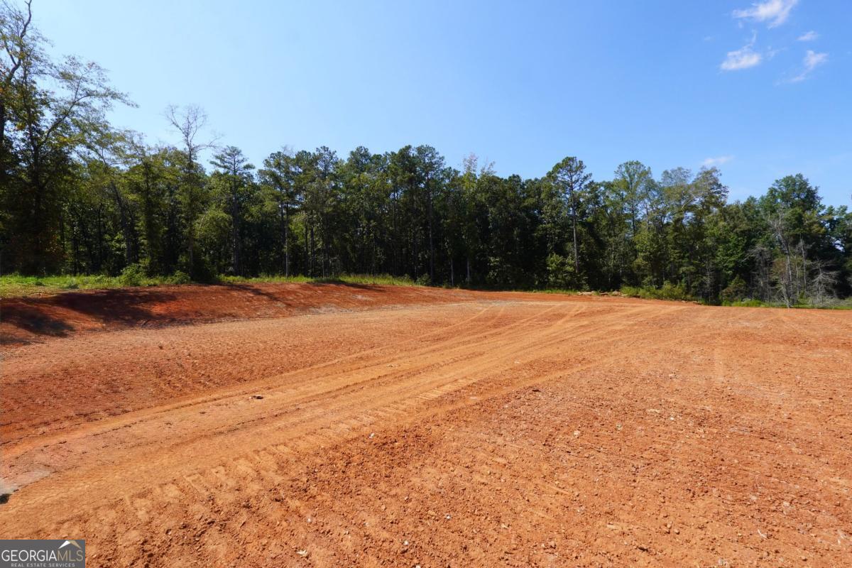 0 Walters Road, Unit TRACT 5 Barnesville, GA 30204 - Photo 5 of 6