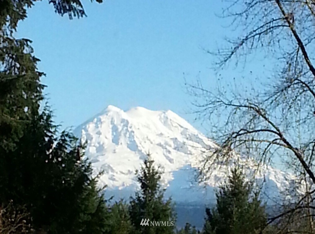 27611 Webster Road East Graham, WA 98338 - Photo 1 of 25