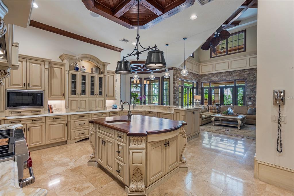 9121 Tibet Pointe Circle Windermere, FL 34786 - Photo 21 of 100 a kitchen with stainless steel appliances granite countertop a sink and a refrigerator