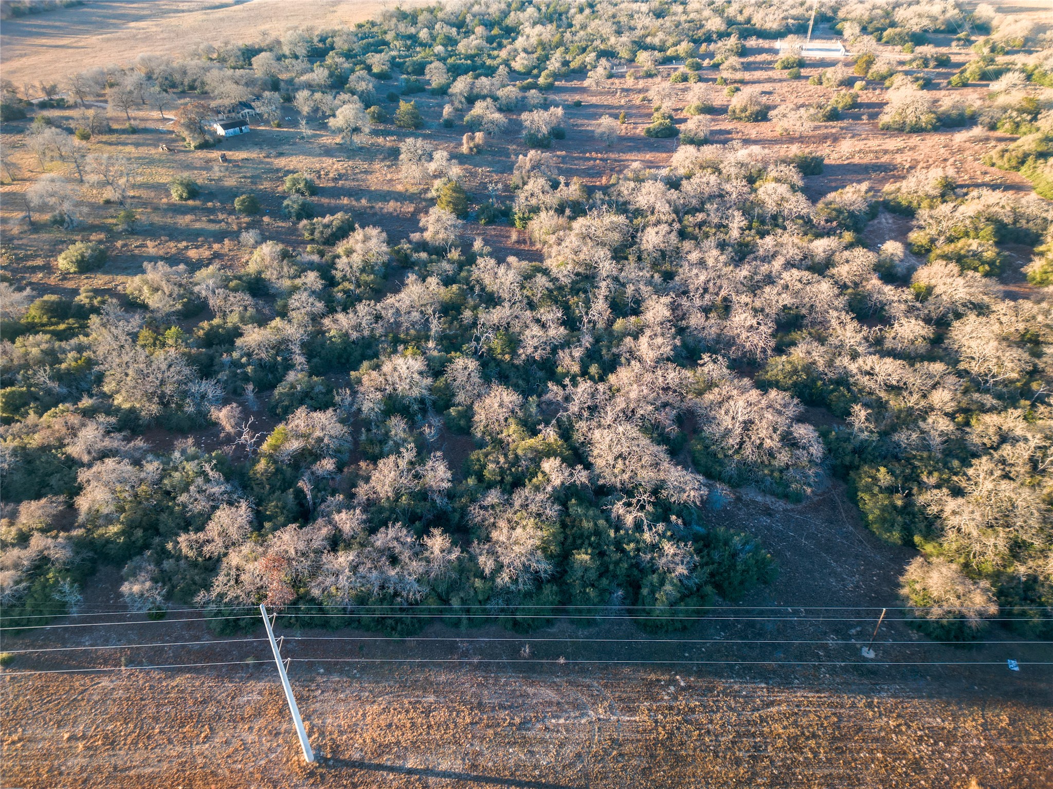 0 Sandy Pine Road Luling, TX 78648 - Photo 12 of 27 a view of a lake with houses