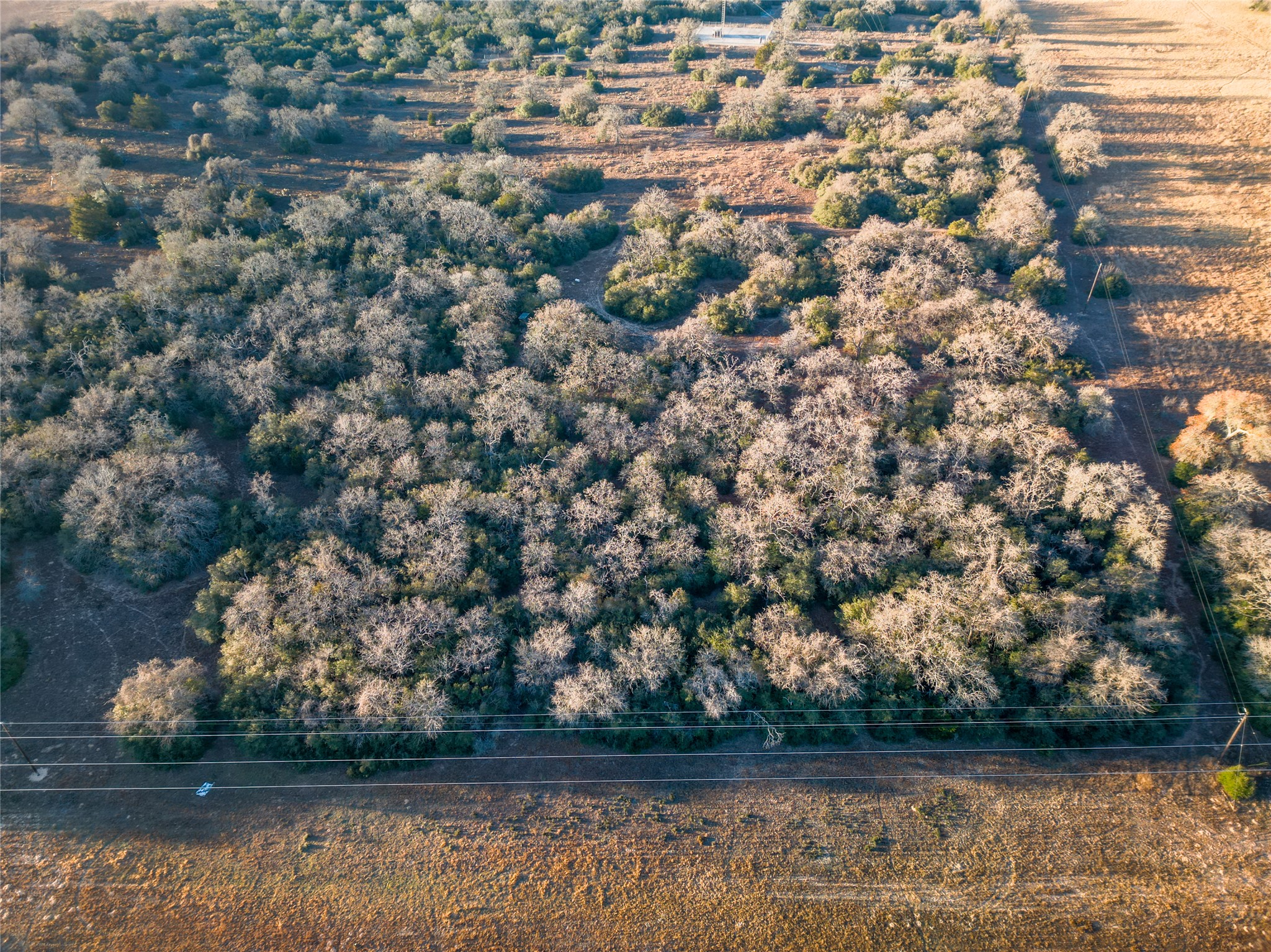 0 Sandy Pine Road Luling, TX 78648 - Photo 13 of 27 an aerial view of house with yard space and large trees