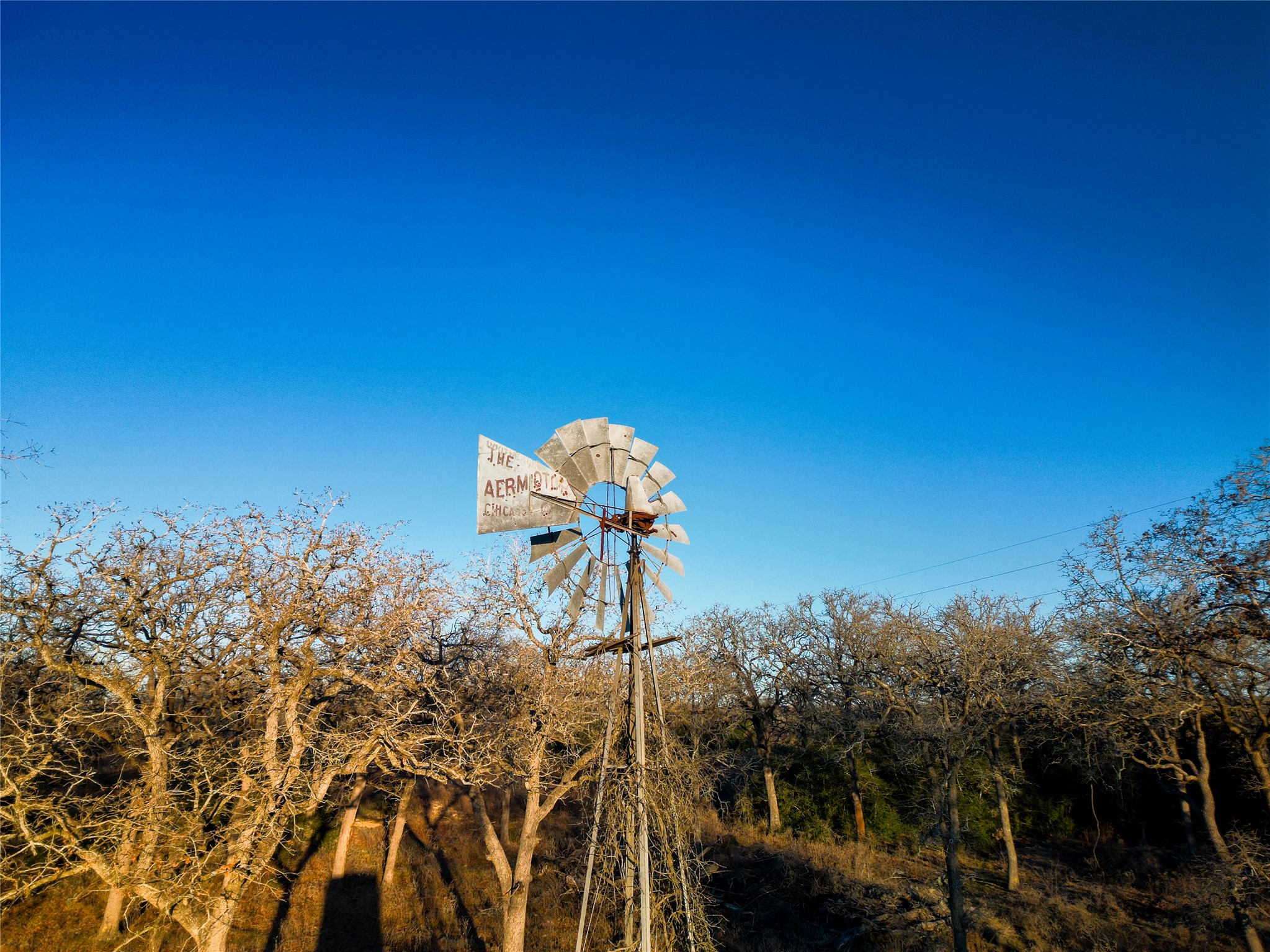 0 Sandy Pine Road Luling, TX 78648 - Photo 18 of 27 a view of a flower in a garden