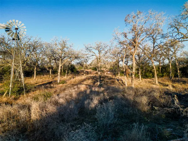 a view of a forest