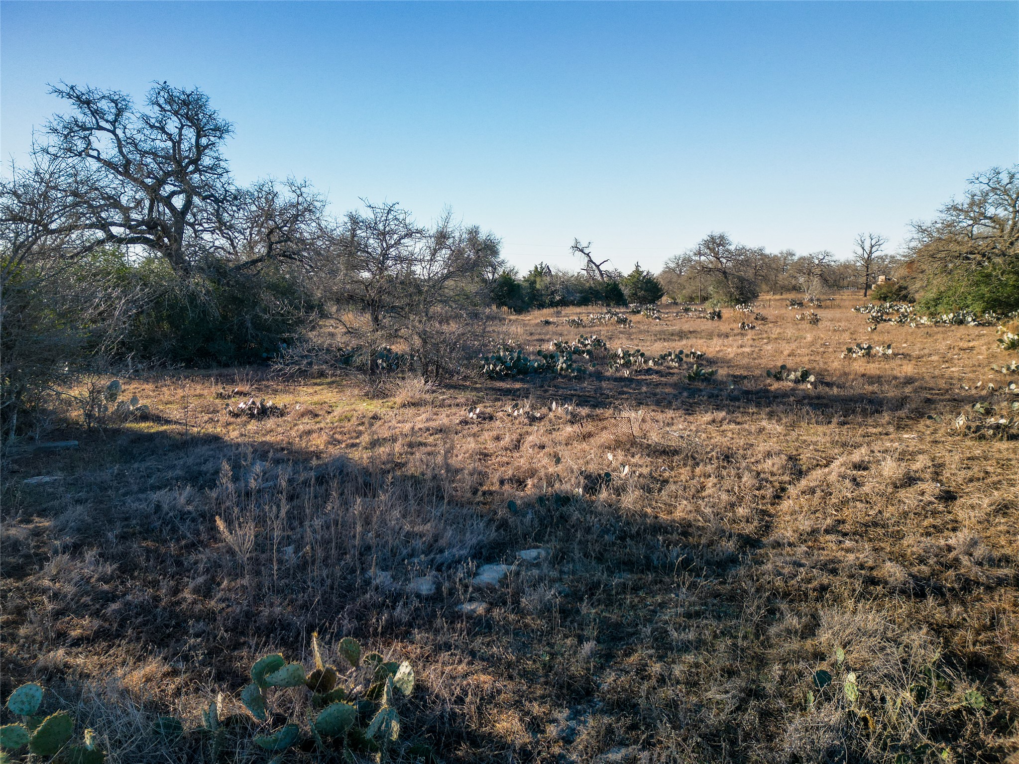 0 Sandy Pine Road Luling, TX 78648 - Photo 26 of 27 a view of dirt field and trees