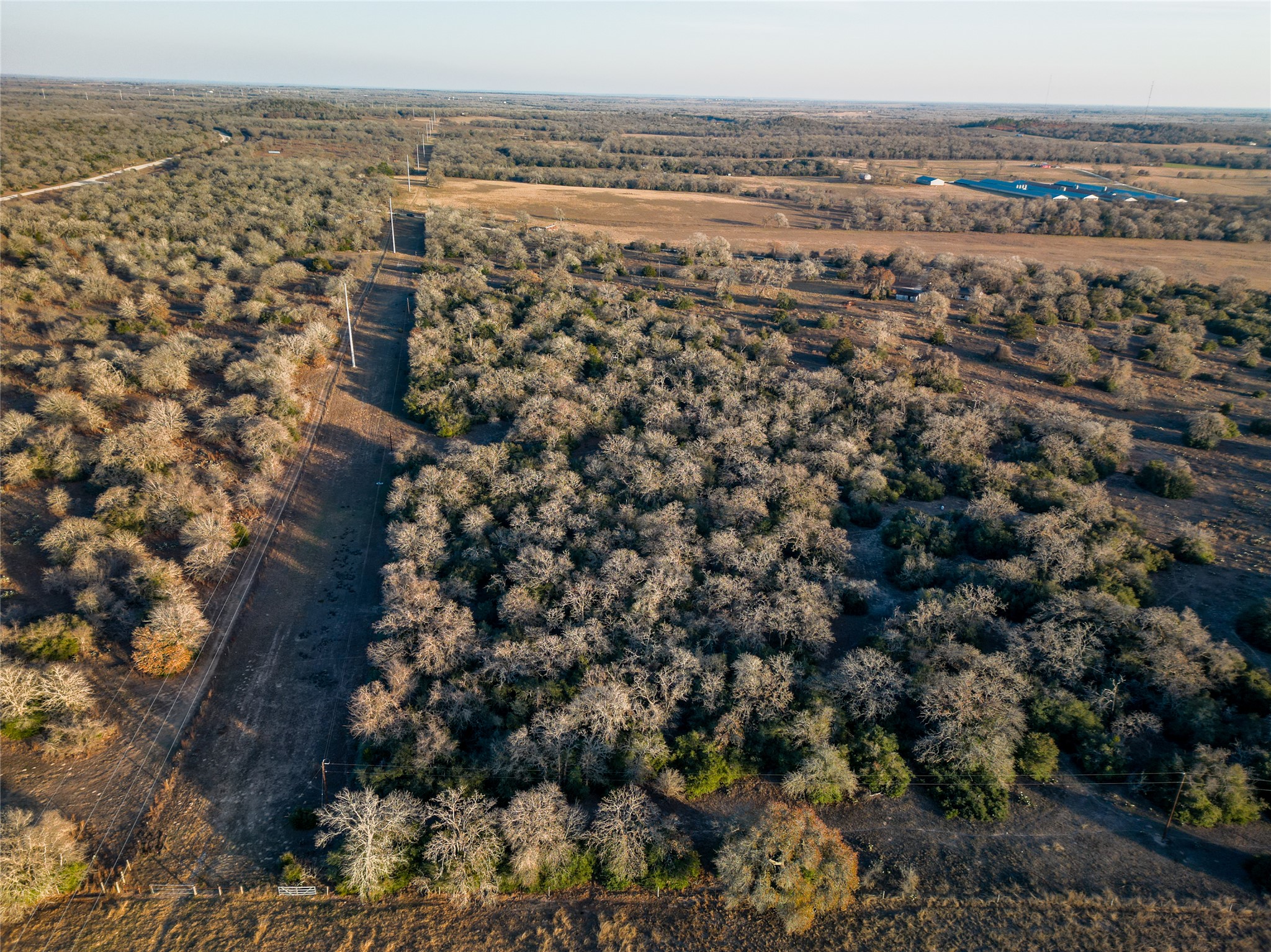 0 Sandy Pine Road Luling, TX 78648 - Photo 8 of 27 a view of a city