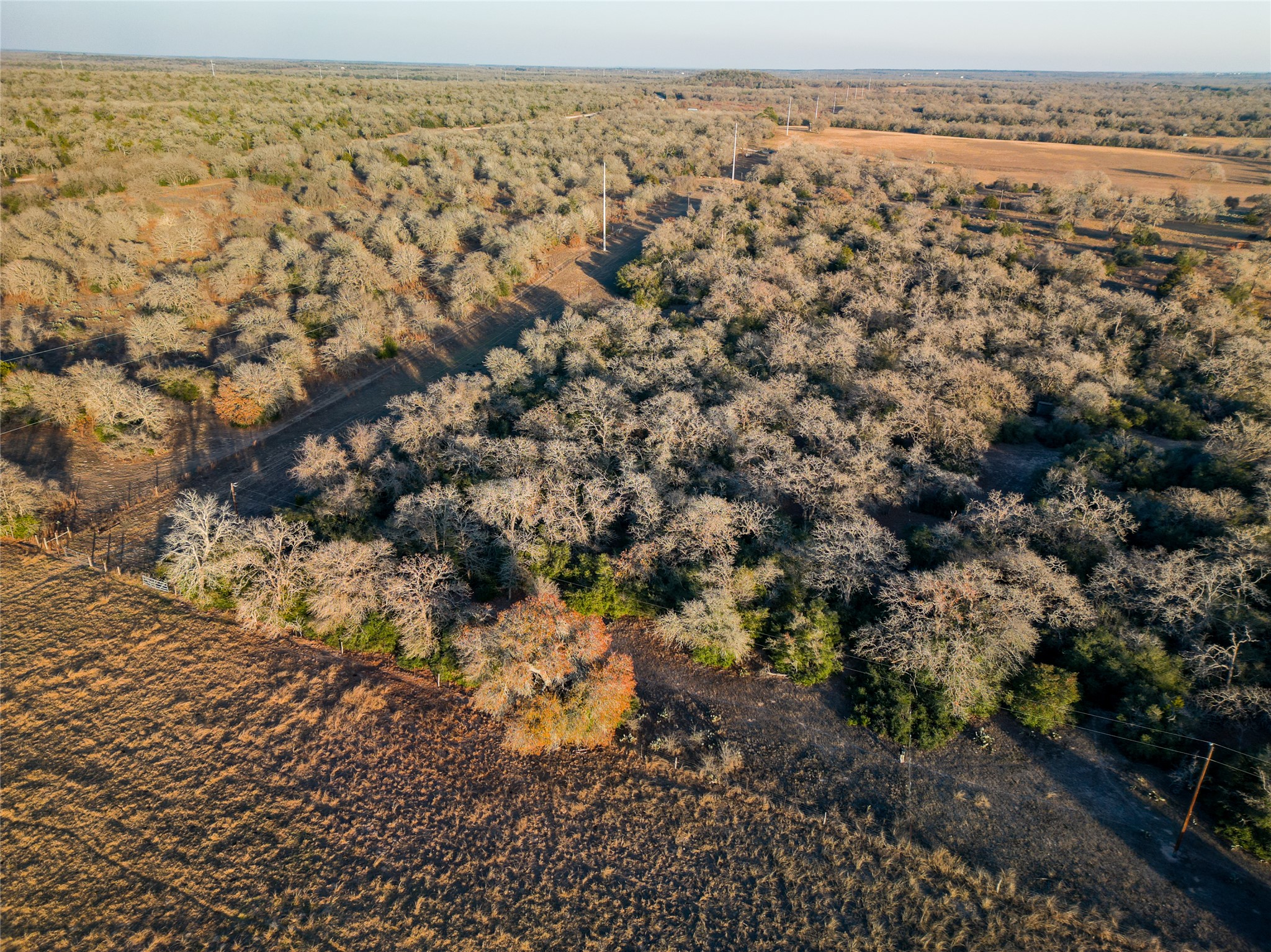 0 Sandy Pine Road Luling, TX 78648 - Photo 9 of 27 a view of a city