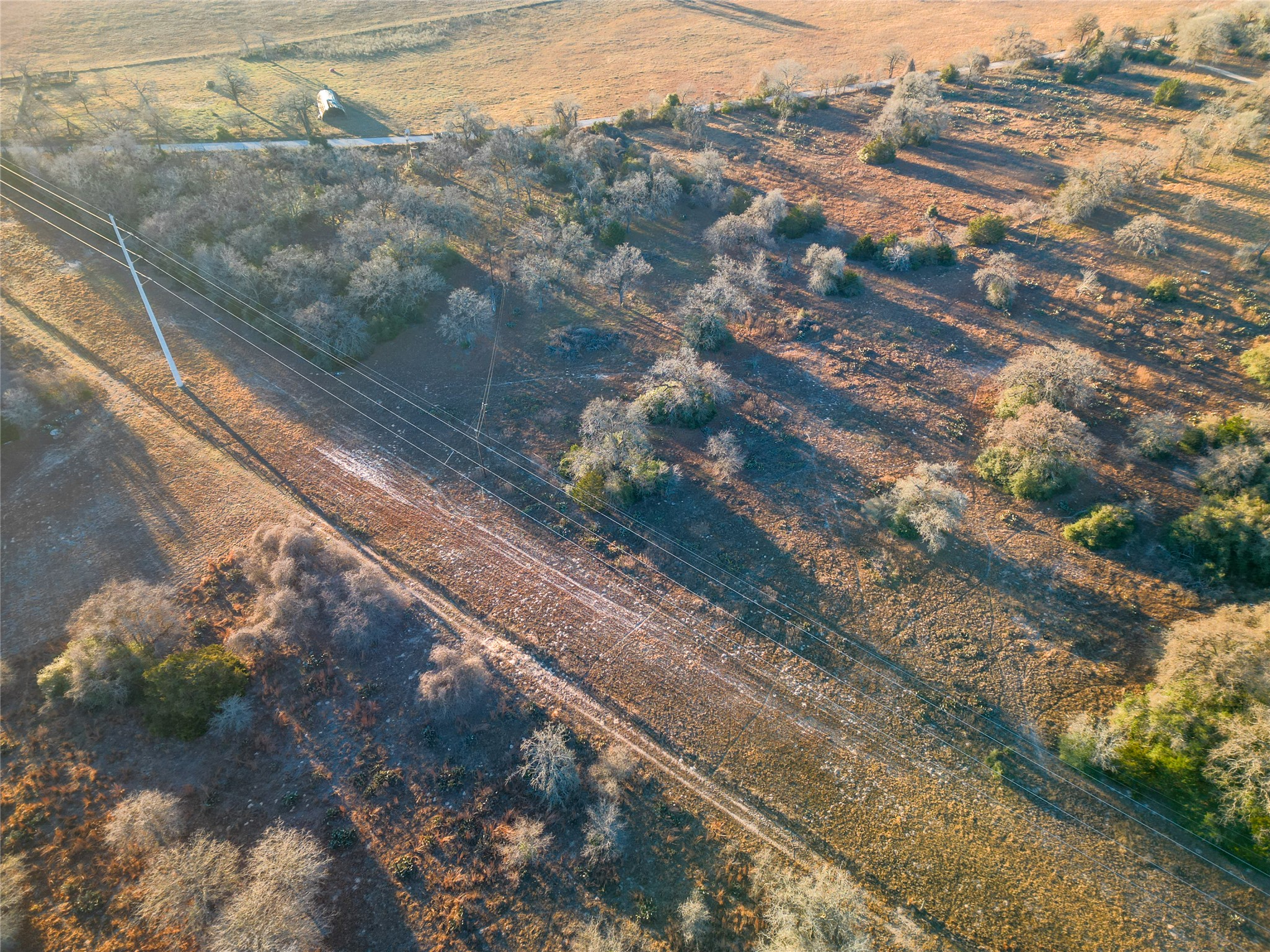0 Sandy Pine Road Luling, TX 78648 - Photo 10 of 27 a view of a yard