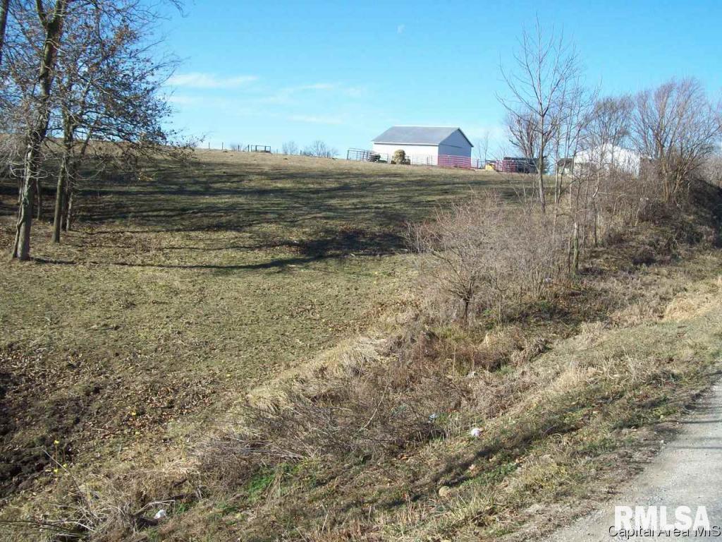 1247 Clay Hollow Road Winchester, IL 62694 - Photo 19 of 20