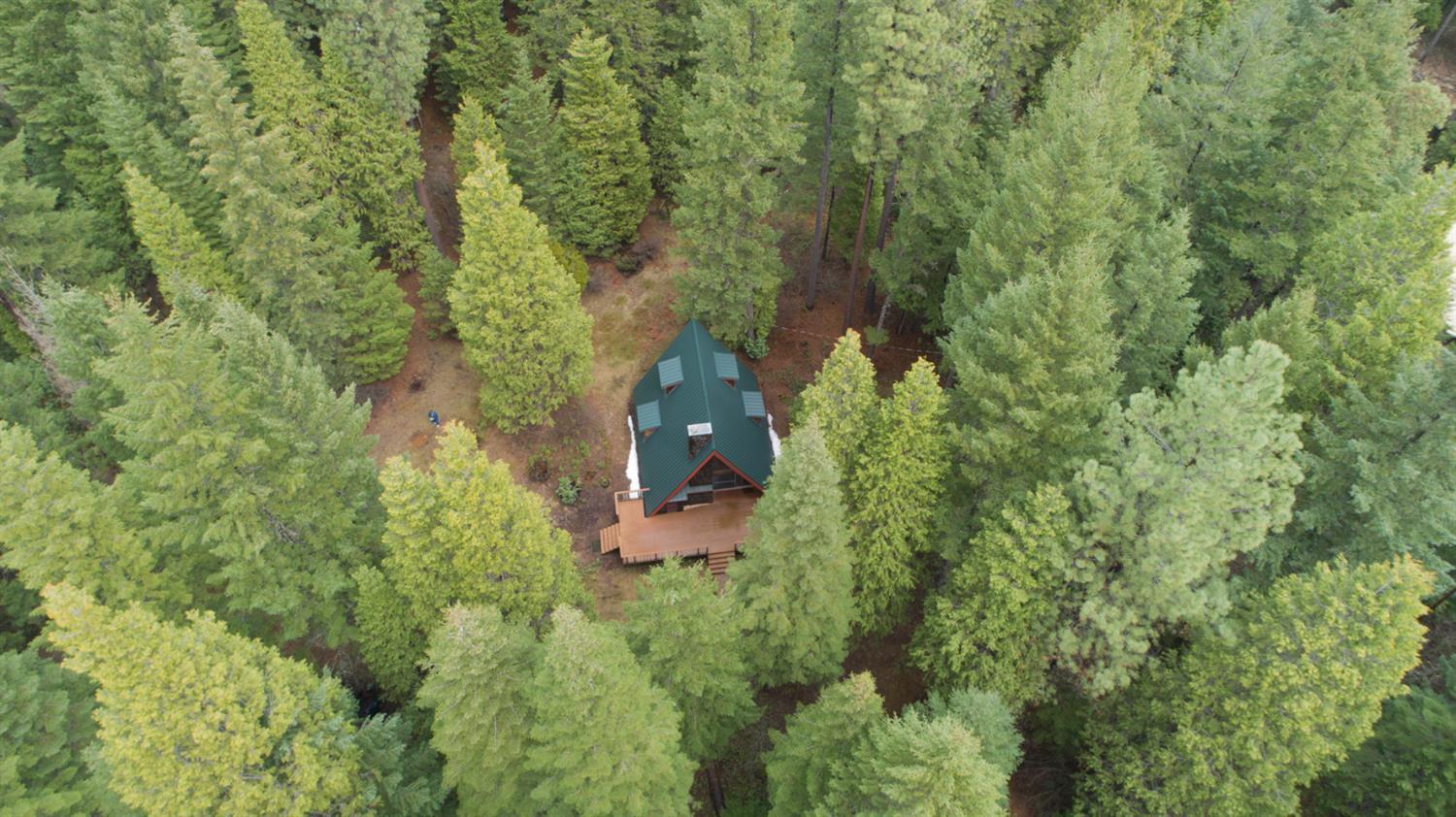 437 Red Blanket Road Prospect, OR 97536 - Photo 4 of 31 Additional Photo