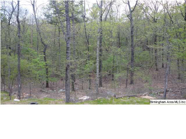 1137 Springhill Lane Birmingham, AL 35242 - Photo 10 of 13