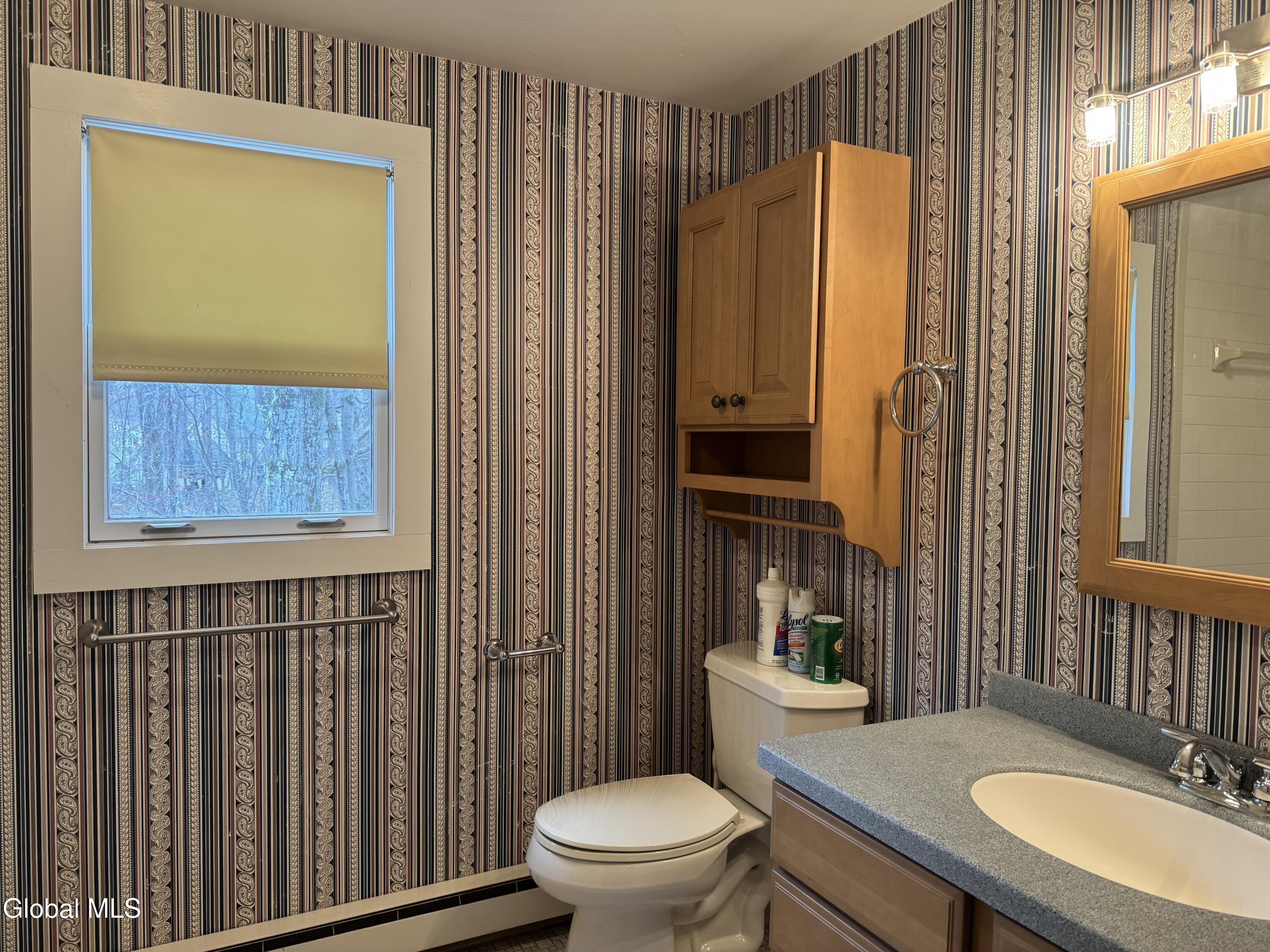 148 Appleton Road Clifton Park, NY 12148 - Photo 18 of 35 IMG_5216