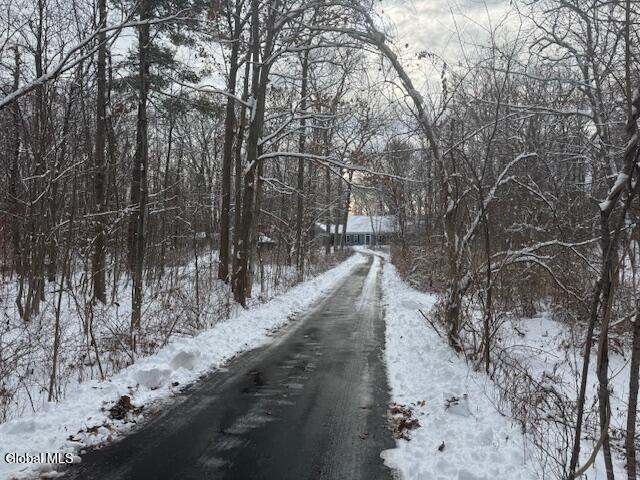 148 Appleton Road Clifton Park, NY 12148 - Photo 4 of 35 IMG_5293