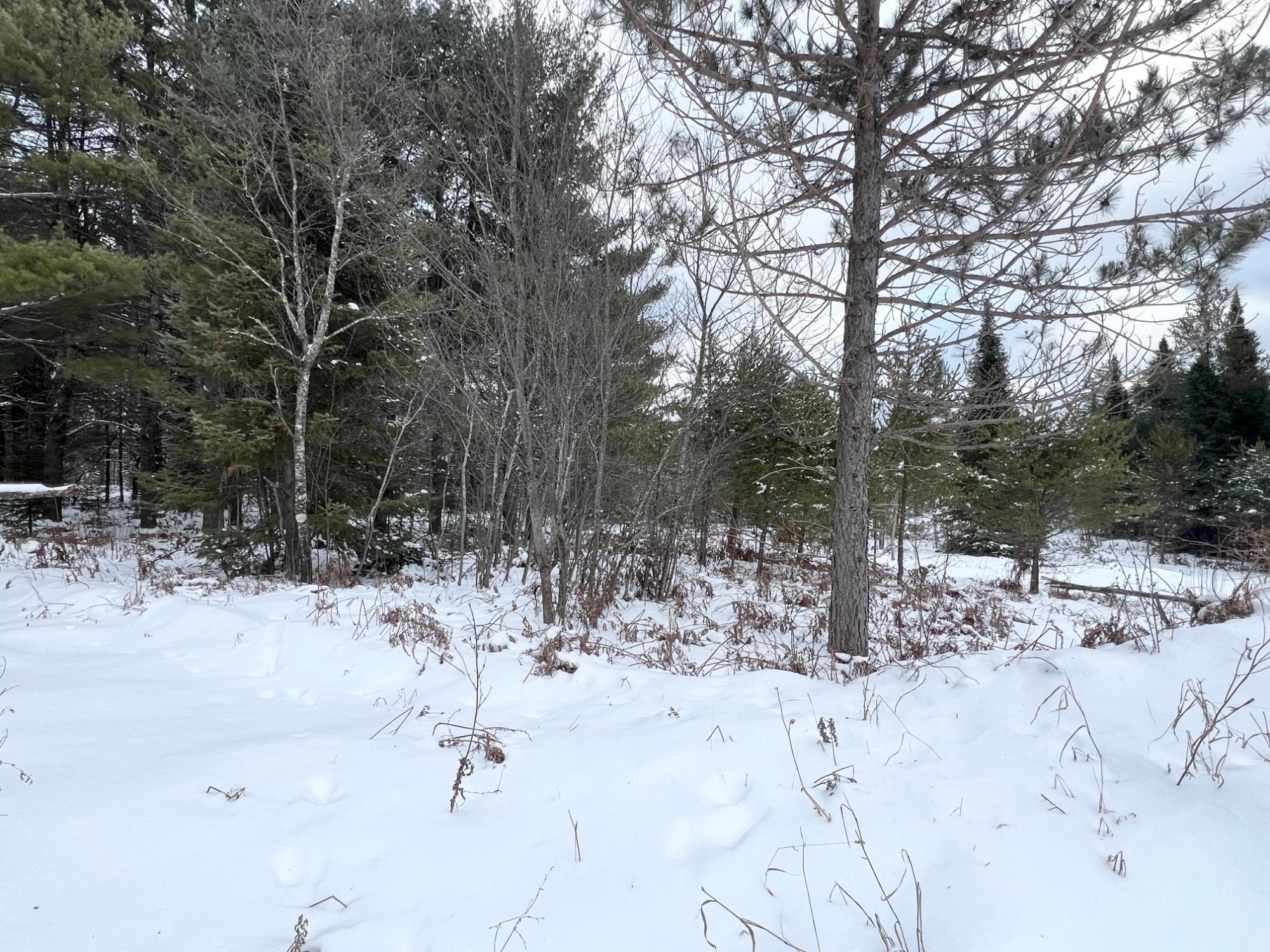 1-2 River Hill Road Conover, WI 54519 - Photo 20 of 25 Gallery Image 20