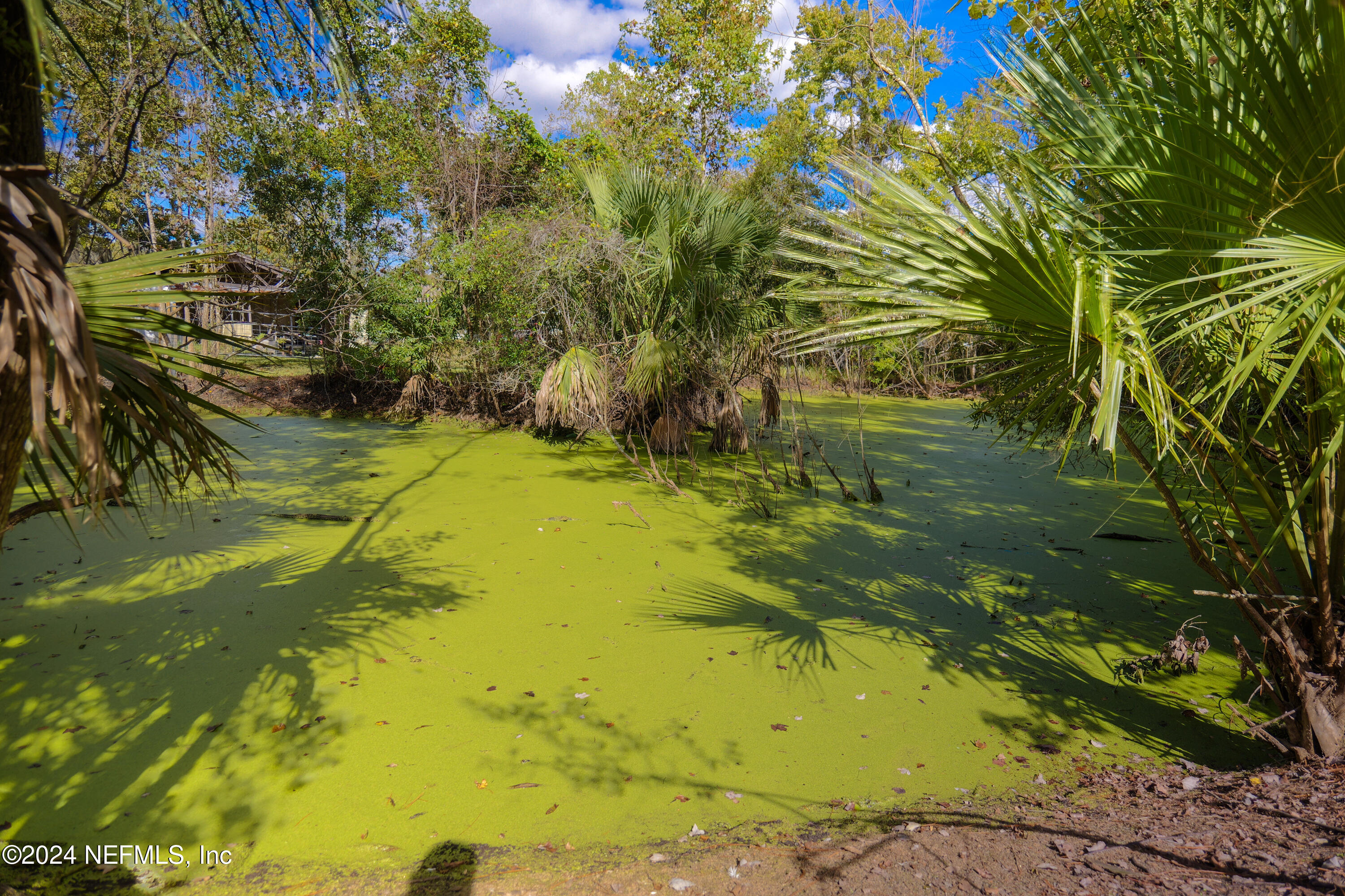 6566 Sherry Lane St. Augustine, FL 32095 - Photo 22 of 24 a view of swimming pool from a yard