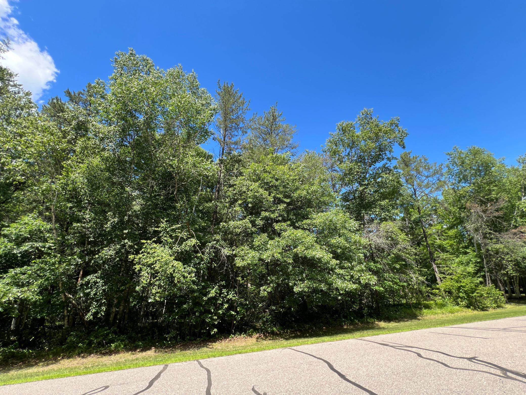 Lot 2 Birch Lane Brainerd, MN 56401 - Photo 5 of 16