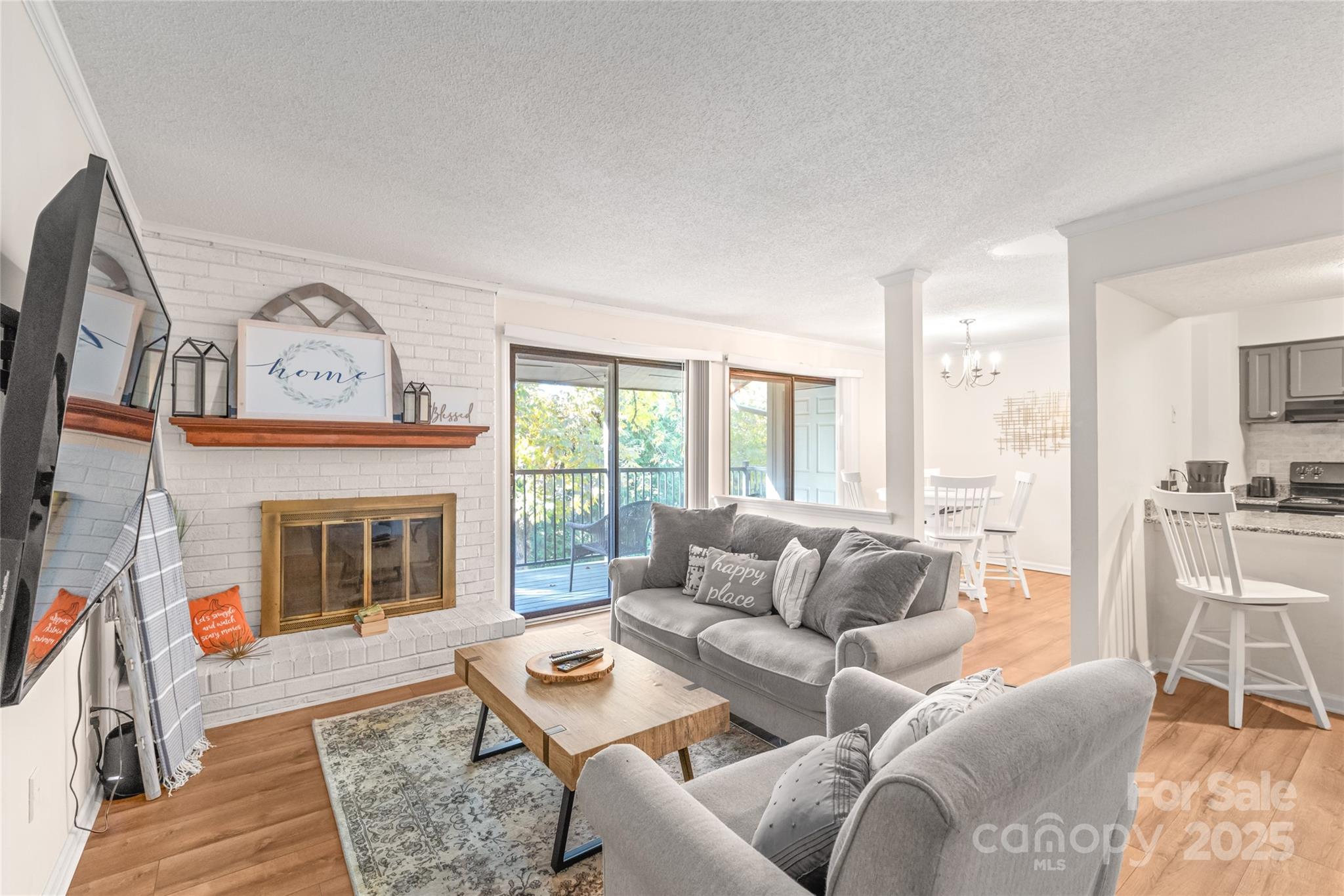 11058 Cedar View Rd. Charlotte, NC 28226 - Photo 2 of 28 a living room with furniture and a fireplace