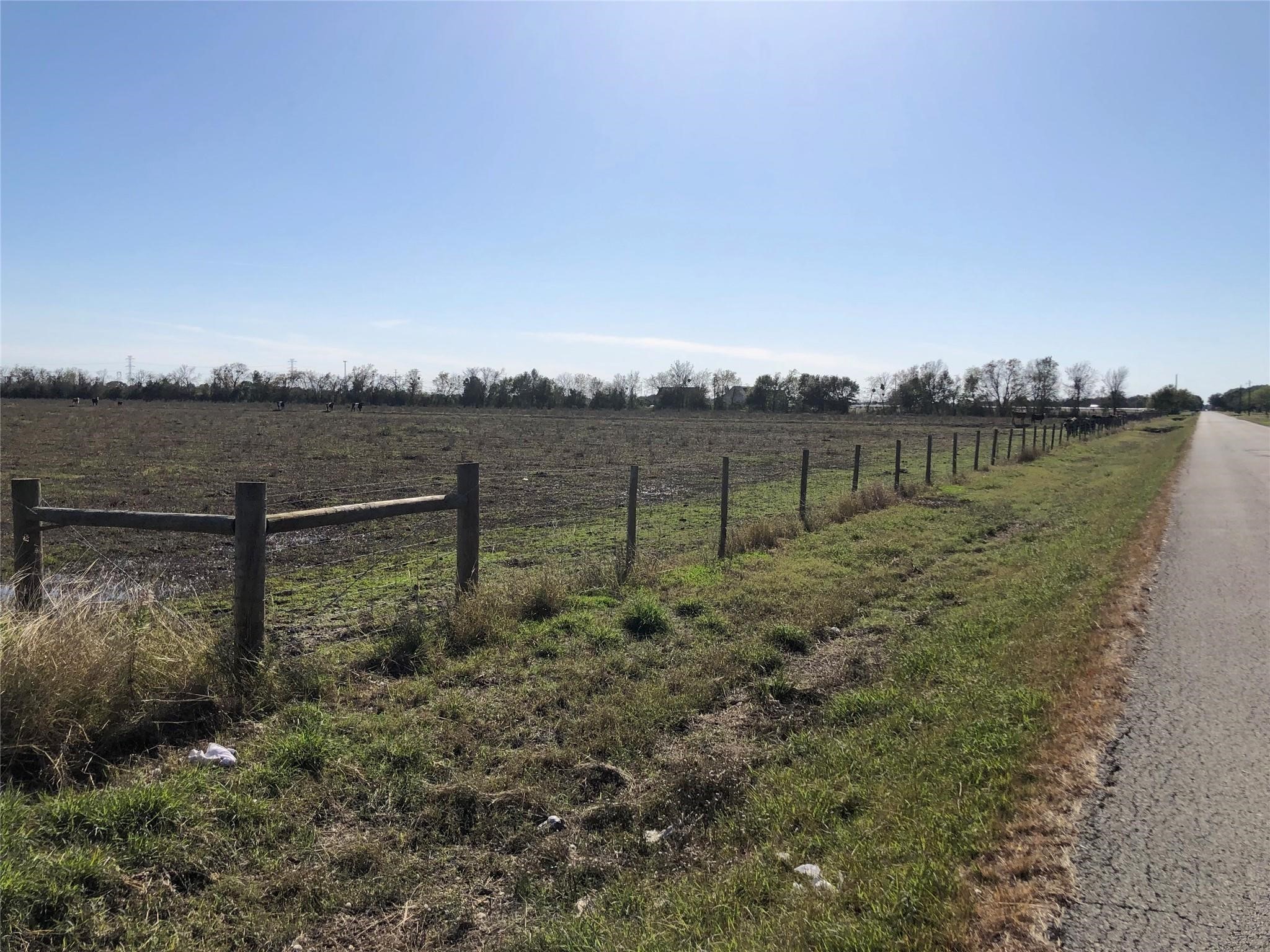 0 Dannhaus Road Needville, TX 77461 - Photo 13 of 21 Gallery Image 13