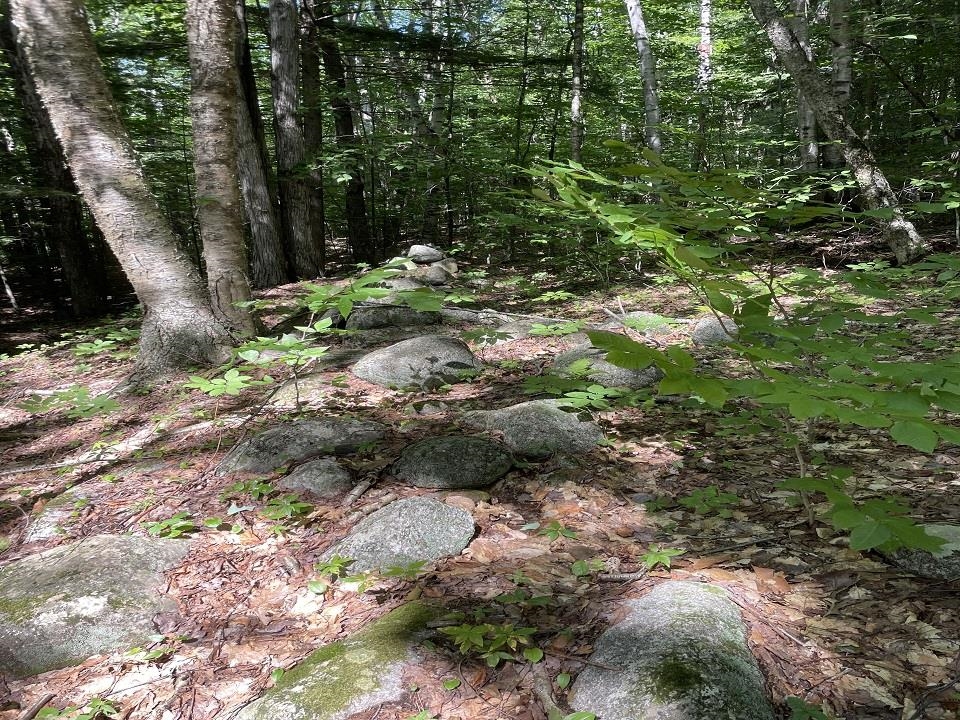 Boot Jack Road Campton, NH 03223 - Photo 11 of 15