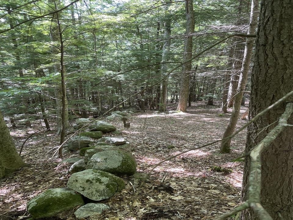 Boot Jack Road Campton, NH 03223 - Photo 14 of 15