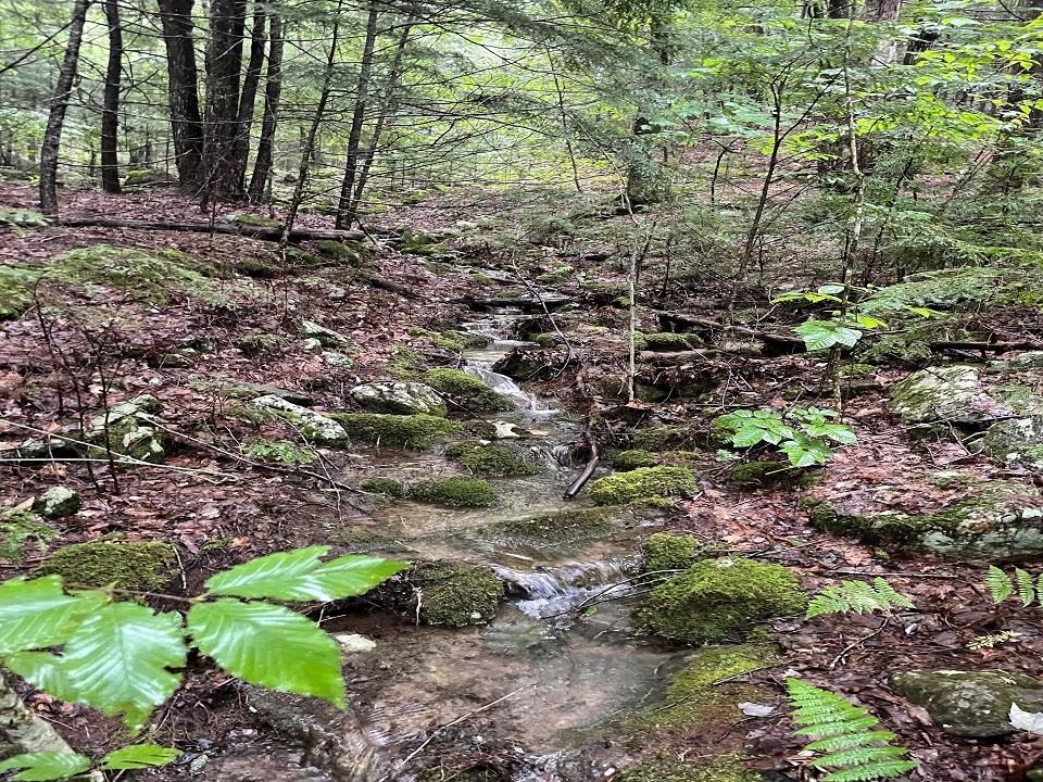Boot Jack Road Campton, NH 03223 - Photo 3 of 15