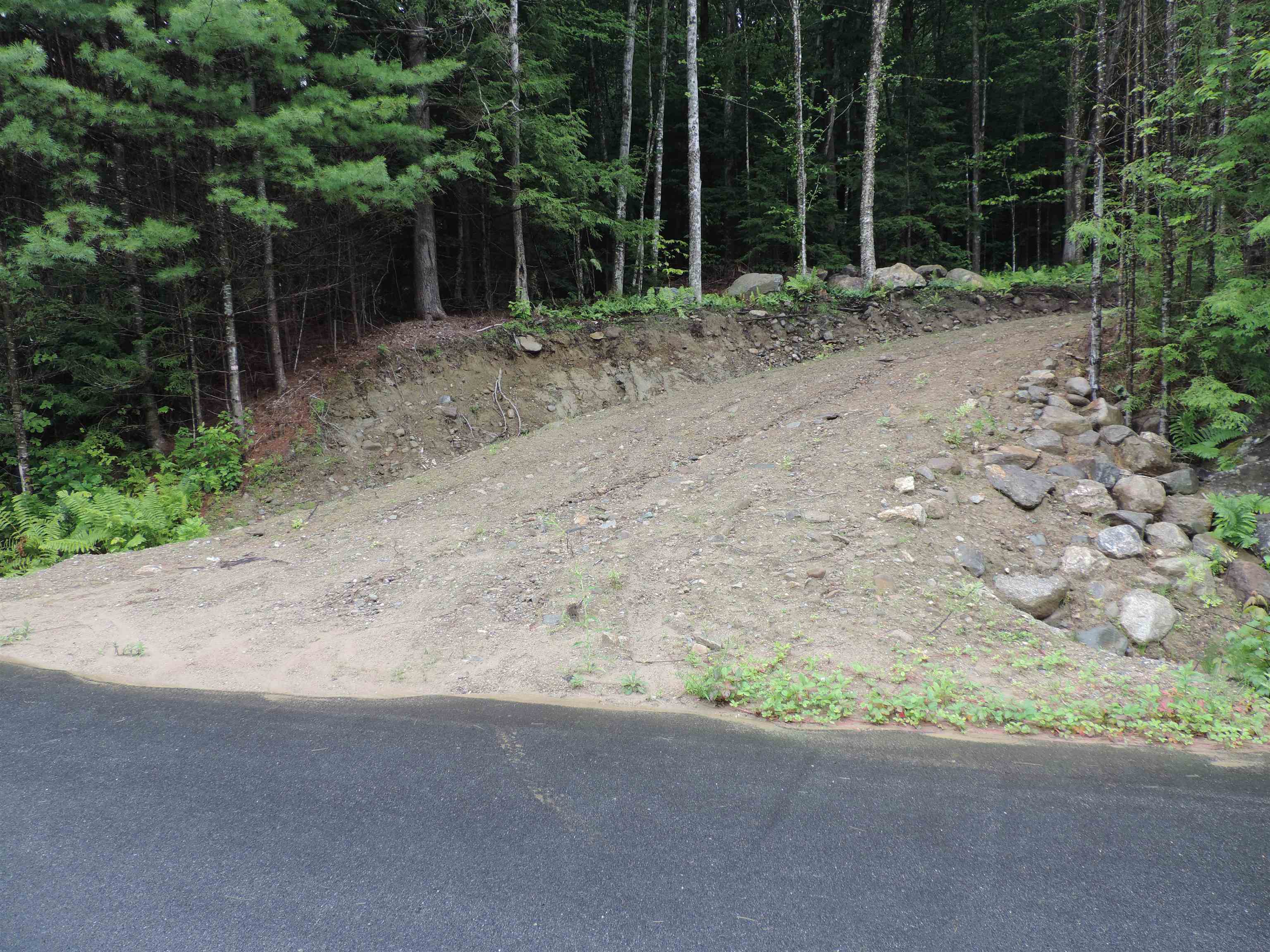 Boot Jack Road Campton, NH 03223 - Photo 9 of 15