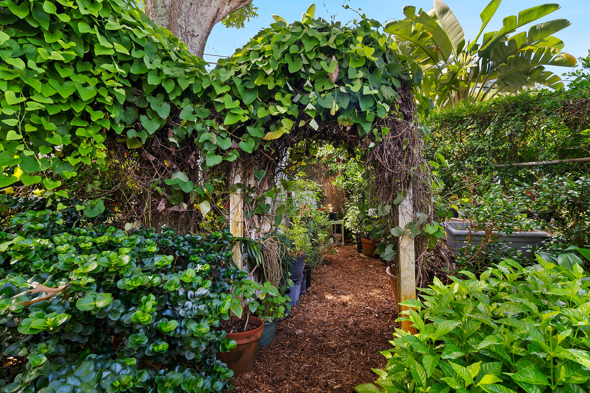 344 Valley Forge Road West Palm Beach, FL 33405 - Photo 19 of 34 344-VALLEY-FORGE-RD-33405-051