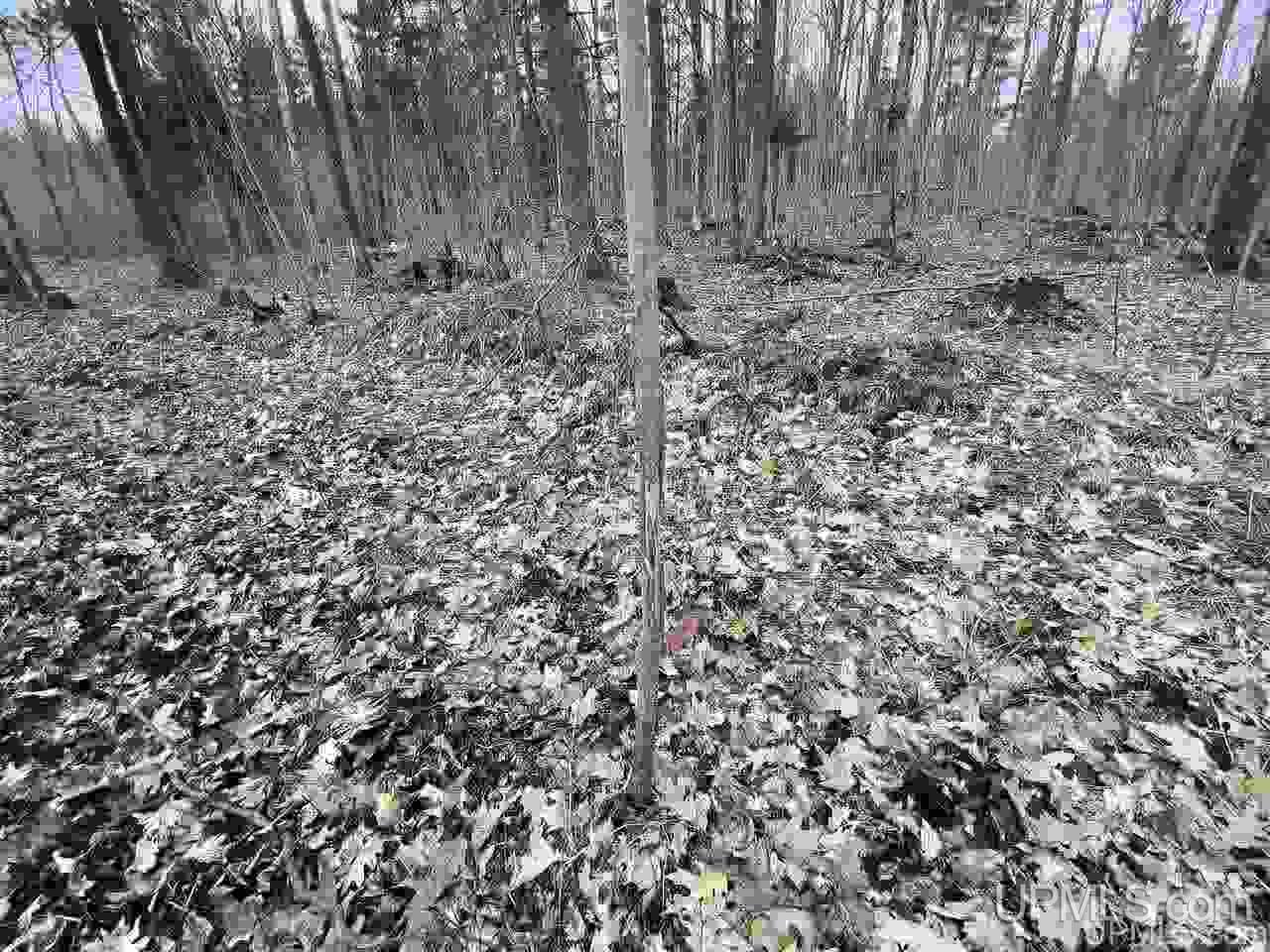 Tbd Plains Cutoff Road Baraga, MI 49908 - Photo 23 of 49
