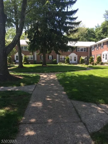 a view of a park that has large trees