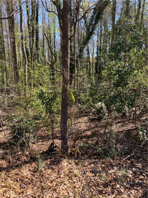 Lot#15 Lakeside Drive Anderson, SC 29621 - Photo 1 of 3 Gallery Image 1