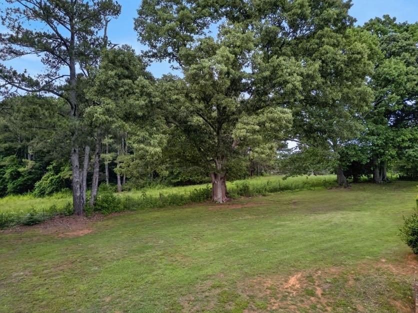 15 Fast Lane Ranburne, AL 36273 - Photo 4 of 51 a view of a field with a tree
