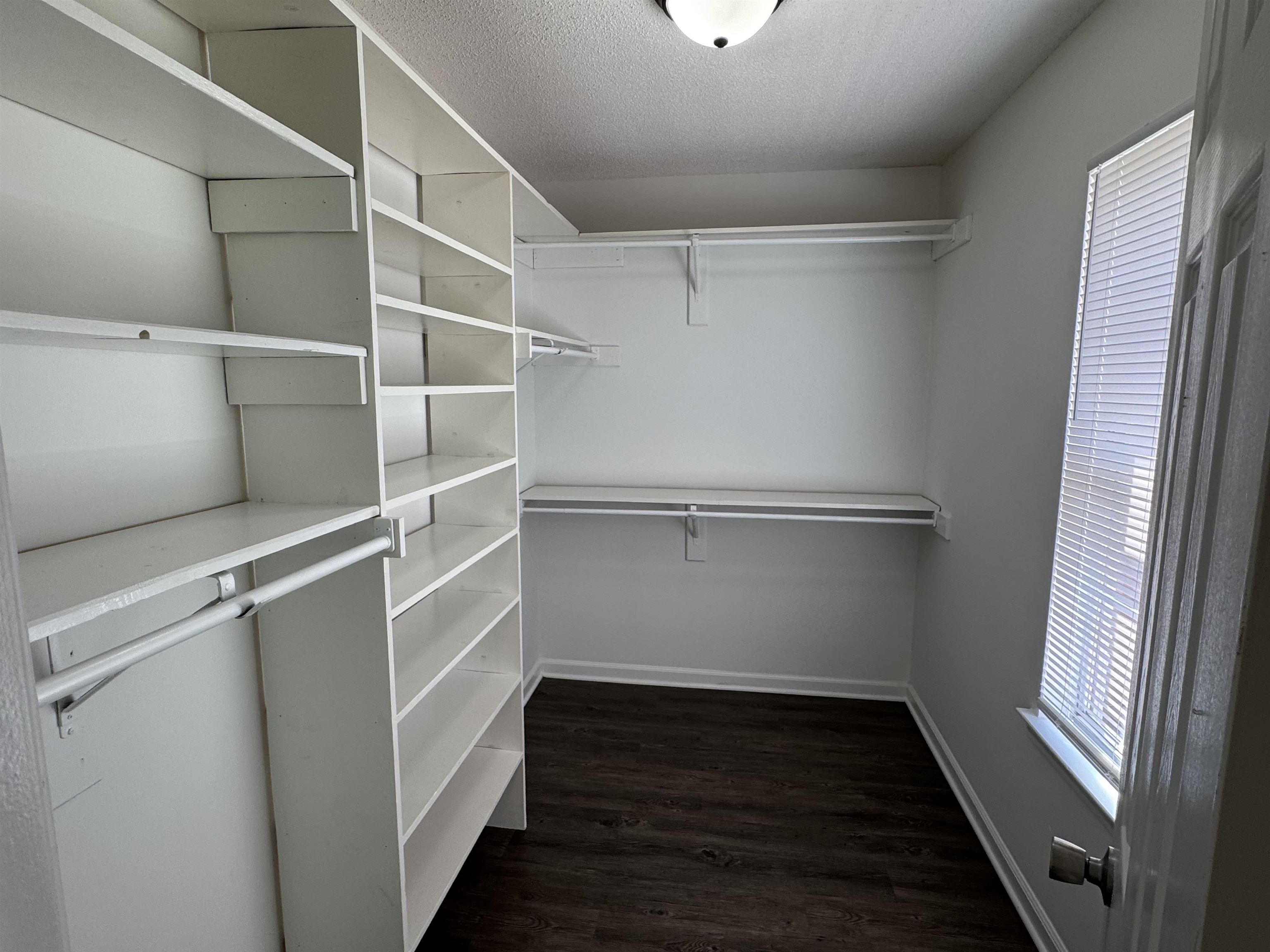 6932 Snyder Road Memphis, TN 38141 - Photo 13 of 15 a view of walk in closet with empty racks