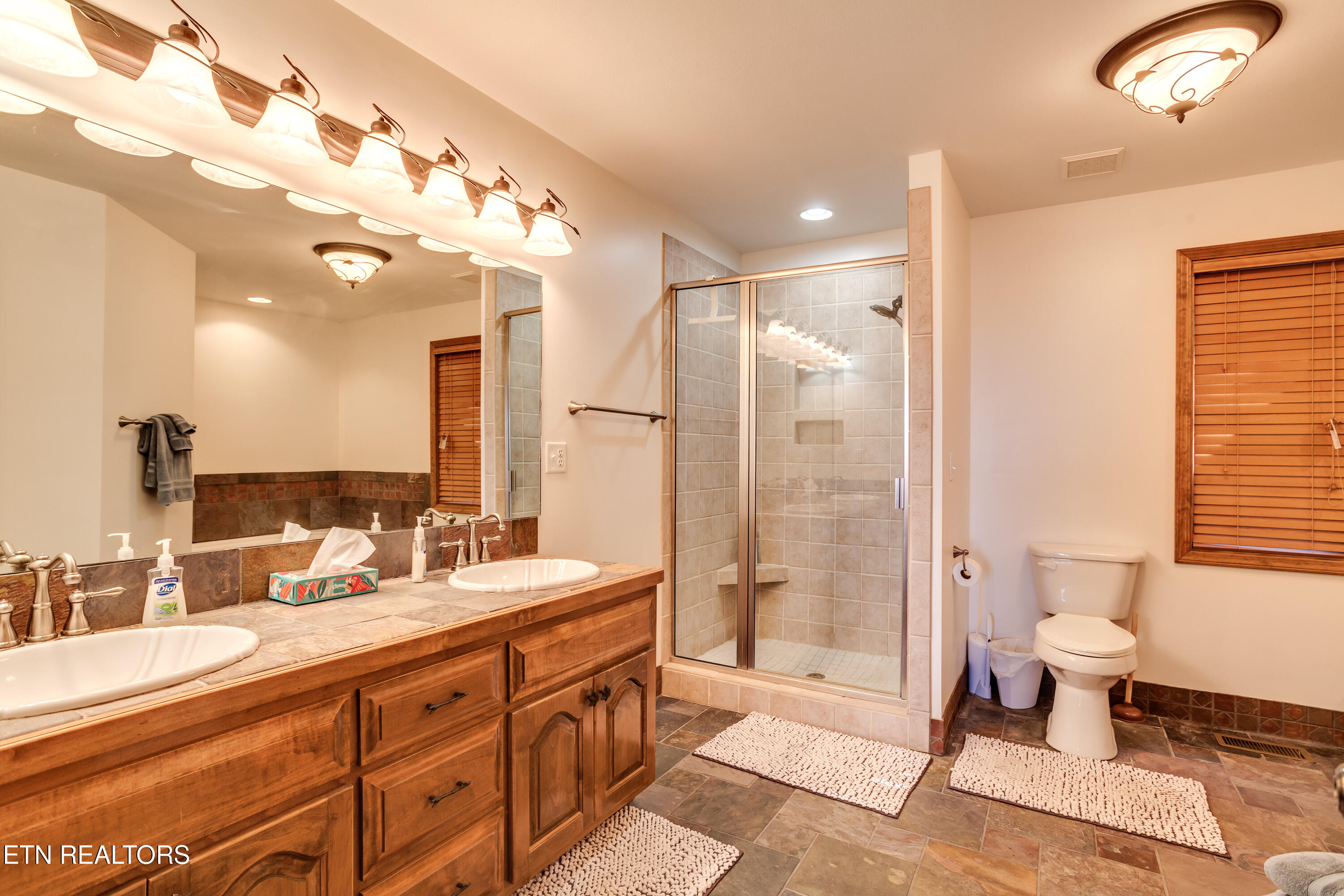 419 Larayne Hollow Road Sharps Chapel, TN 37866 - Photo 15 of 34 Master Bath