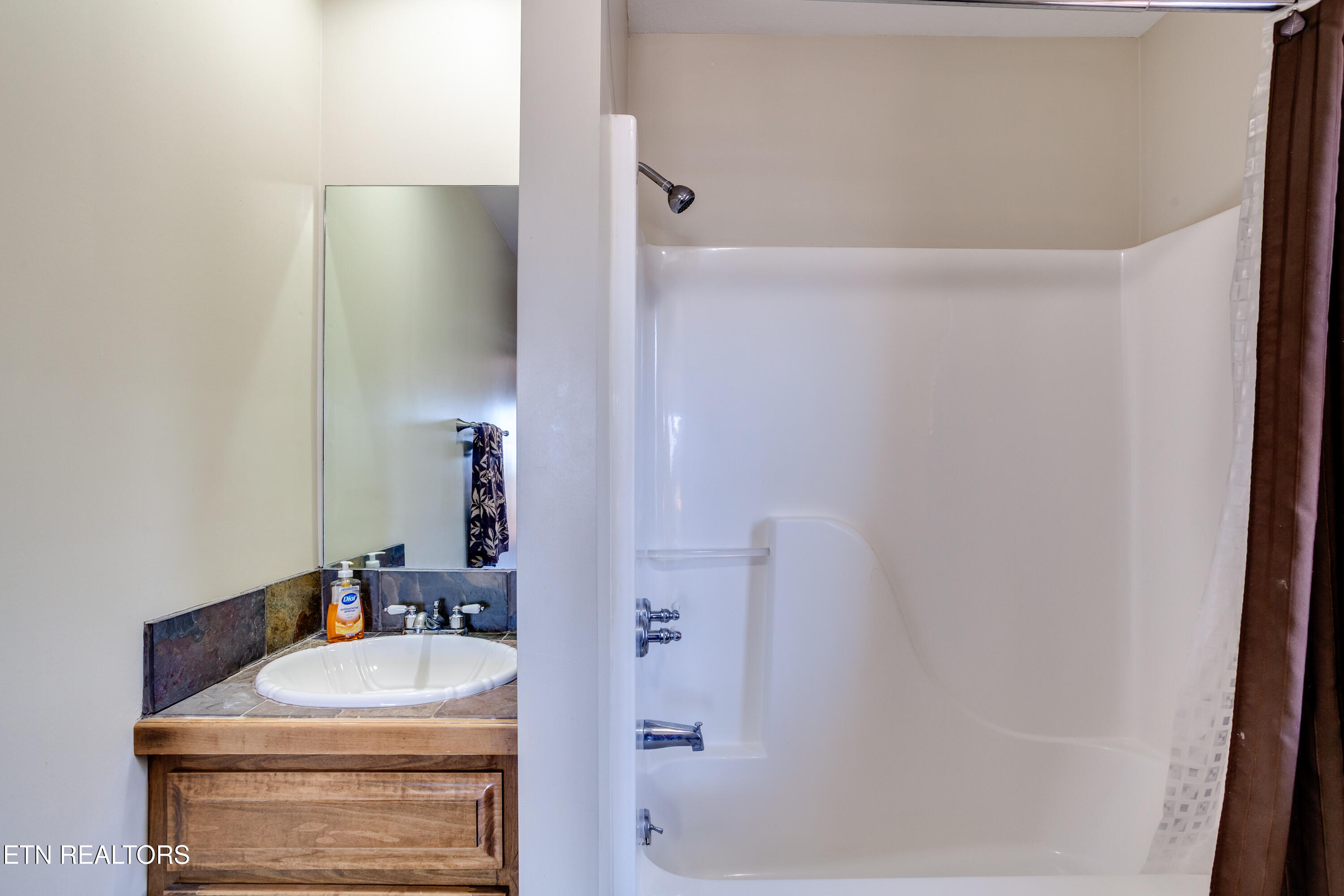 419 Larayne Hollow Road Sharps Chapel, TN 37866 - Photo 29 of 34 Master Bath