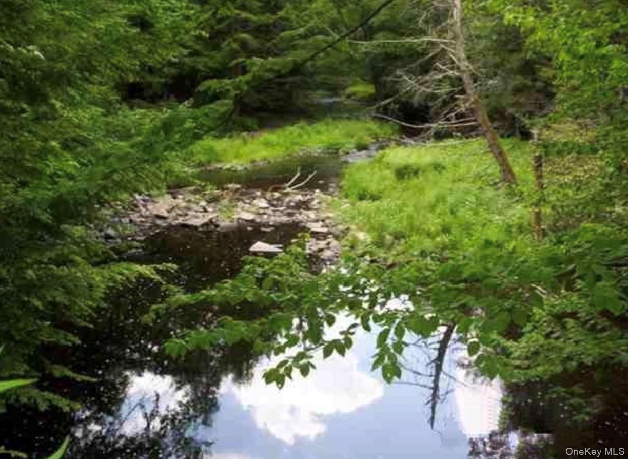 0 Huschke Road Fallsburg, NY 12733 - Photo 2 of 10 a view of a lush green forest