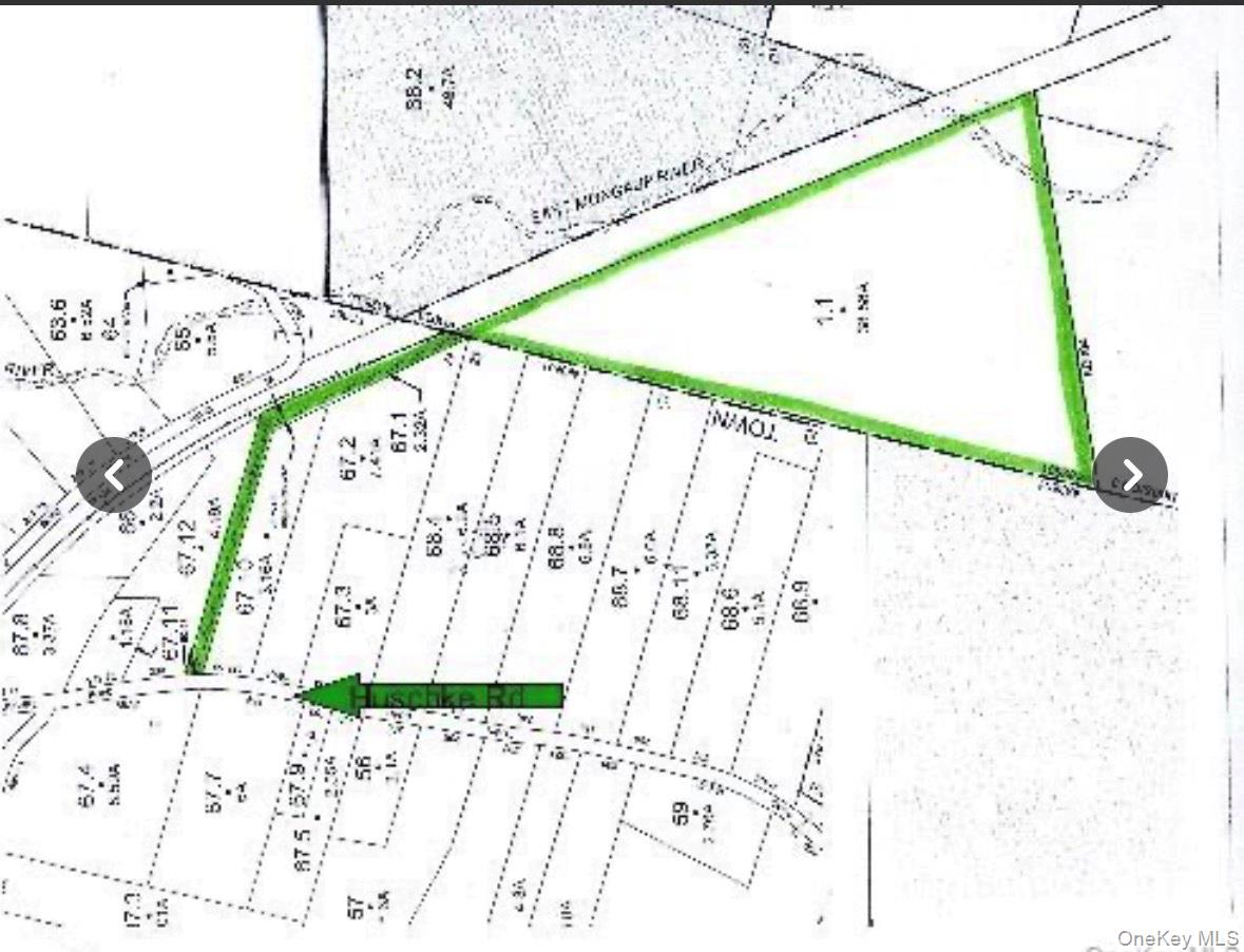 0 Huschke Road Fallsburg, NY 12733 - Photo 3 of 10 a close up of a wall with a lot of white paint