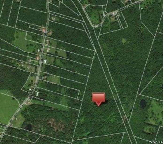 0 Huschke Road Fallsburg, NY 12733 - Photo 4 of 10