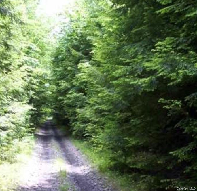 0 Huschke Road Fallsburg, NY 12733 - Photo 9 of 10 a view of a yard