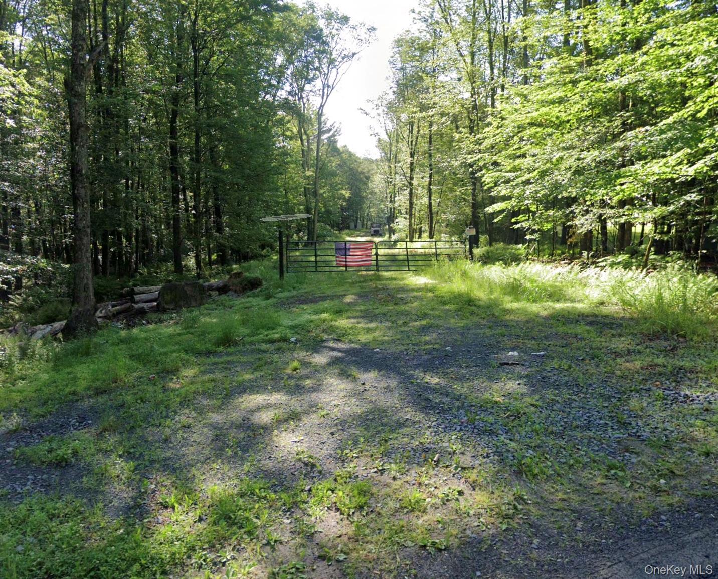 0 Huschke Road Fallsburg, NY 12733 - Photo 10 of 10 a view of a green field with lots of trees