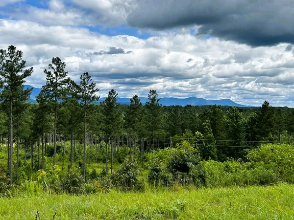 $614,500 | 26 Hughes Lake Road Southeast, Cleveland, TN 37323