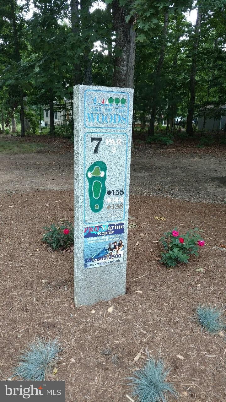 711 Gold Valley Road Locust Grove, VA 22508 - Photo 29 of 29 View of 7th Hole Par Three
