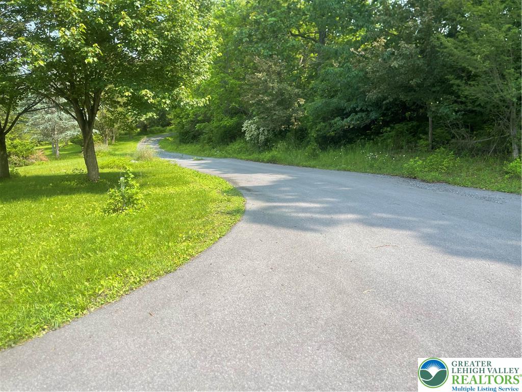 459 Mt Pleasant Road Bangor, PA 18013 - Photo 86 of 86 a view of a yard with a trees